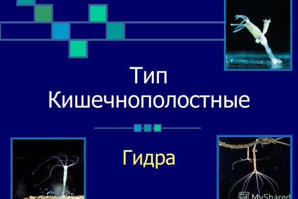 Кракен рабочая ссылка на официальный магазин