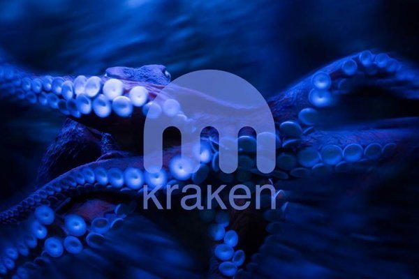 Kraken darknet to run