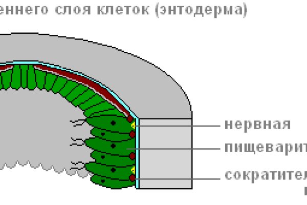 2 krn cc