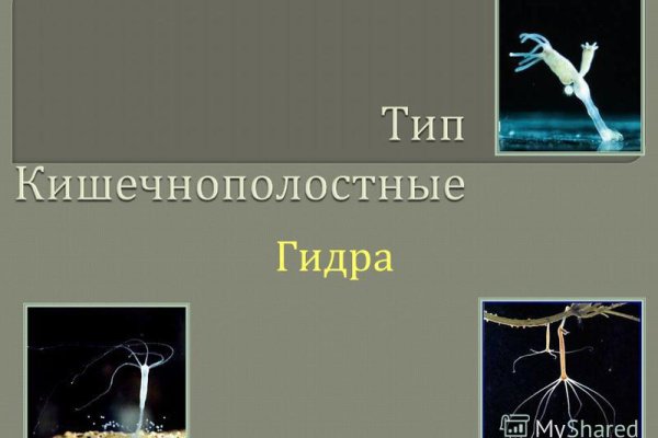 Кракен маркетплейс зайти
