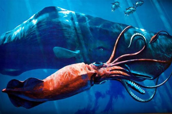 Kraken ссылка